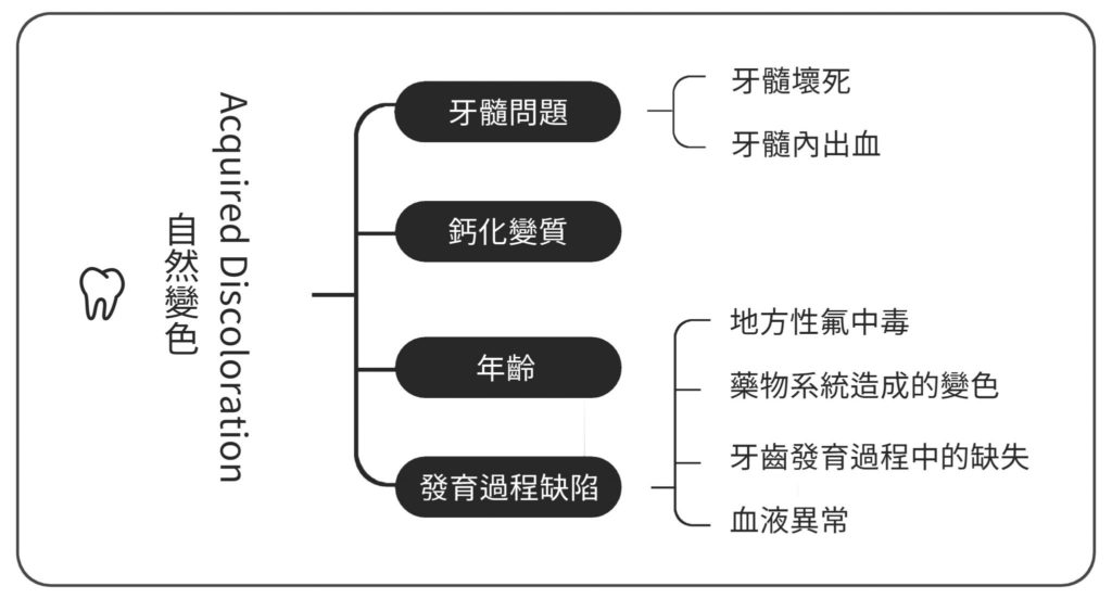 需要 牙齒美白 原因自然變色